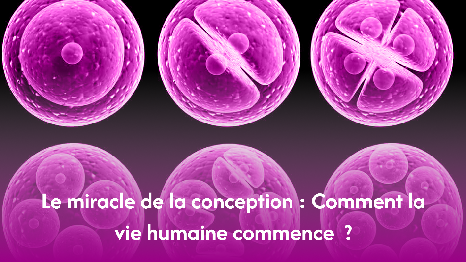 miracle-conception-humaine