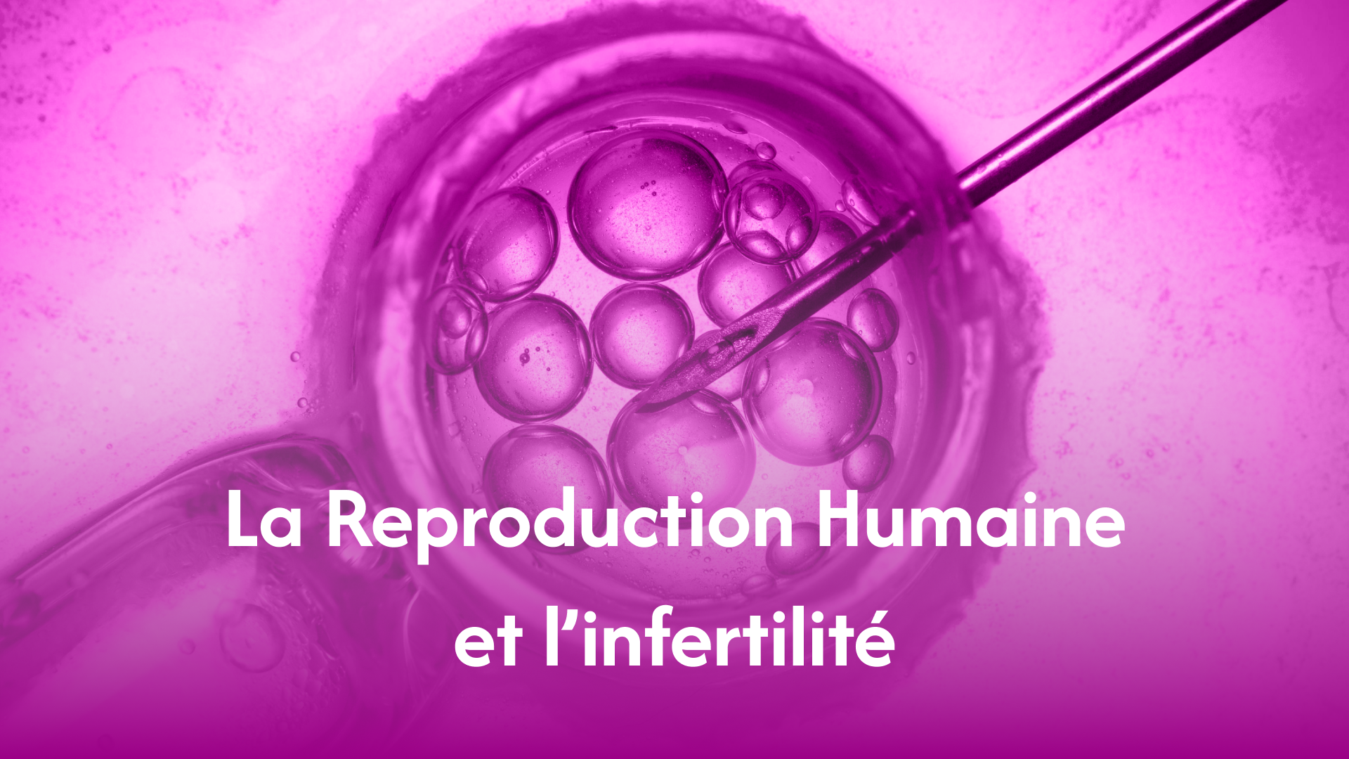 reproduction-humaine-infertilite